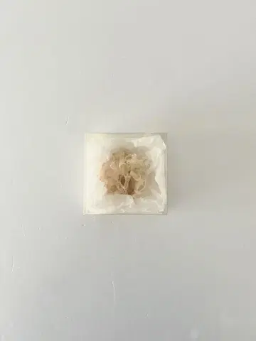 [ 새상품급 ] mina perhon ribbon 코사지