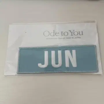 seventeen 준 ode to you 네임 와펜