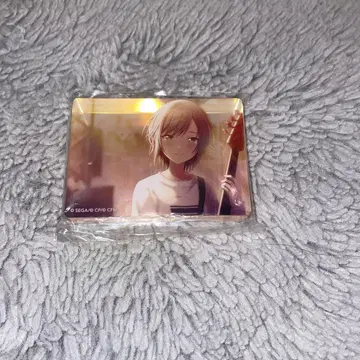 프로세카 히노모리 시호 노블 아트