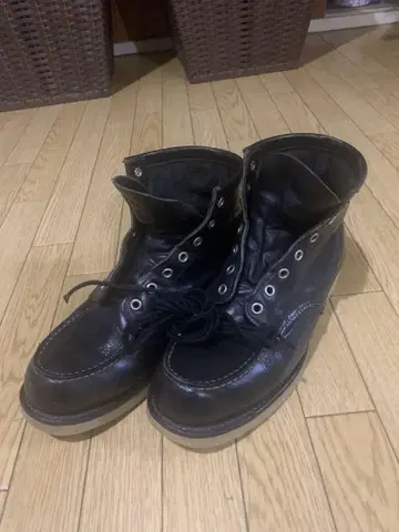 레드윙 세터 블랙