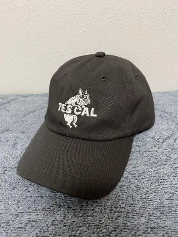 TESCAL 로우캡 차콜 그레이