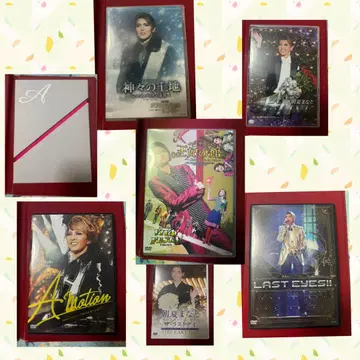 아사카 마나토 DVD 묶음 판매