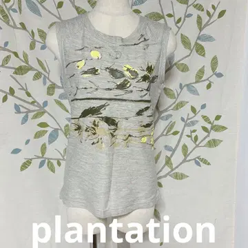 플랜테이션 그레이 베스트 새