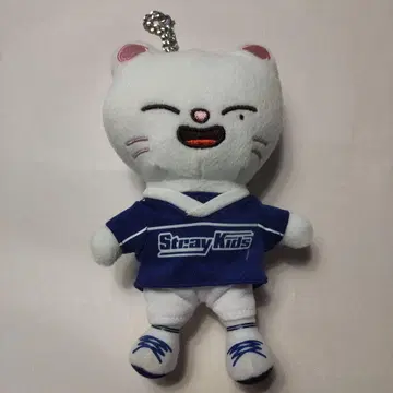 지니 레트 백참