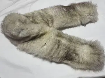 팁펫 성인식