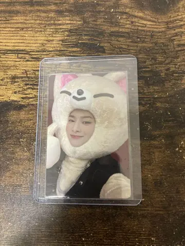 stray kids 스키즈 skzoo 트레이딩 카드 아이엔