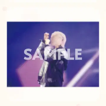 멜트  STPR EXPO TanksParty 복권