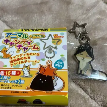 애니멀캔디참 카쿠나 린타로