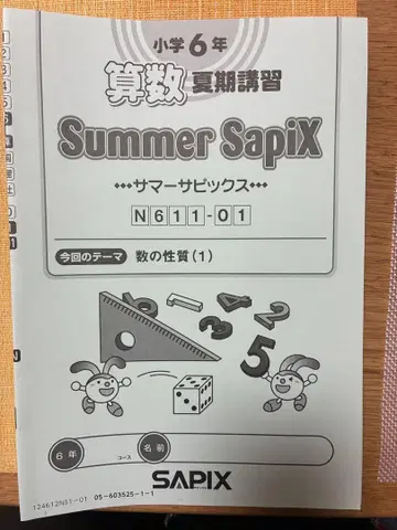 Summer SapiX 6학년 산수 여름 학기 강습 전권