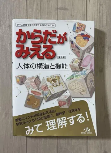 몸이 보이는