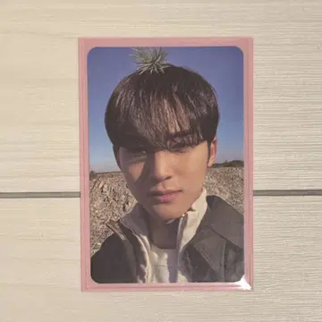 SEVENTEEN 세부치 민규 트레이딩 카드