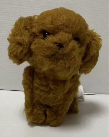 파푸스 봉제 인형 토이 푸들 BR 미사용품