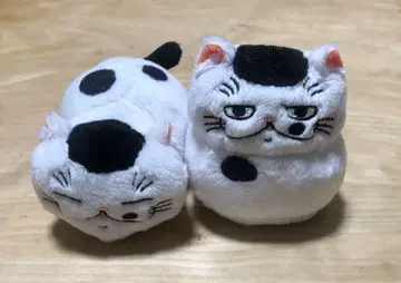 신사 고양이 봉제 인형 소