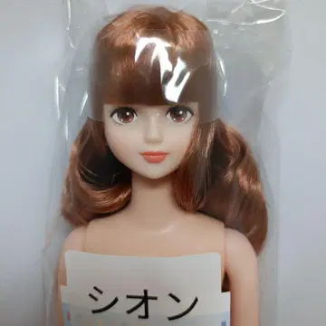 시온 즐거운 인형 리카짱 캐슬 27cm