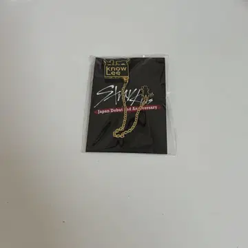 스키즈 리노 체인 포함 핀즈