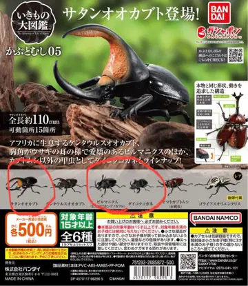 생물대도감 가부토무시05 사탄오오카부토 버마닉스 다이코쿠코가네