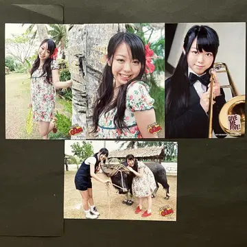 미네기시 미나미 AKB48 브로마이드 묶음 판매