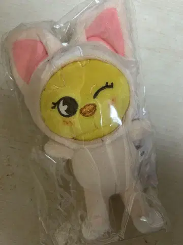 스키즈월드 포가리 x 폭시니