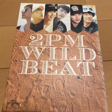 2PM WILD BEAT DVD