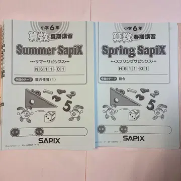 6년 산수 Summer & Spring SapiX (전권)