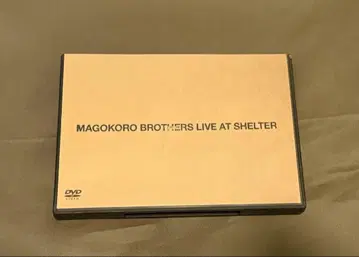 마고코로 브라더스 LIVE AT SHELTER DVD