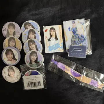 무카이 하지키 세트