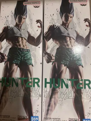 HUNTER x HUNTER 곤 피그라이프