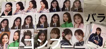 사쿠라자카46 2기생 브로마이드 묶음 판매 21컴프 + 장미 약 80장