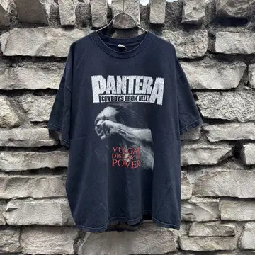 00s PANTERA 판테라 속악 vintage T셔츠 XL