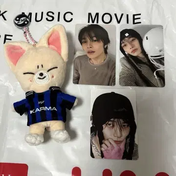 straykids skzoo 아이엔 + 폭시니
