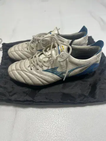 모렐리아 네오 4