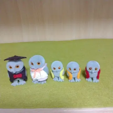 올빼미 인형 5개 세트 졸업 모자 포함
