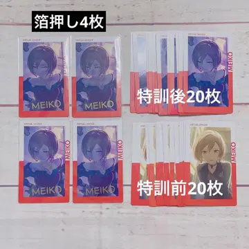프로세카 MEIKO 에피카