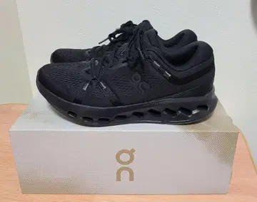 On cloud surfer2 미사용 새상품 25cm