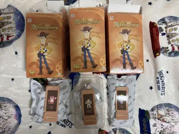 TOPTOY 30주년 토이 스토리 피규어