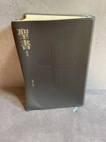 신개역 성경 제3판 BI-20 그레이 신일본성서간행회