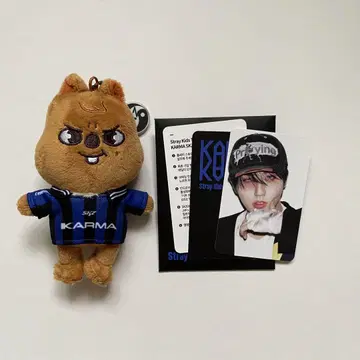 straykids 한 앨범 봉제 인형 트레이딩 카드 karma