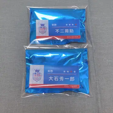 테니스의 왕자님 네임 배지 후지 오이시