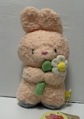 산레몬 복슬복슬 타토톤 봉제 인형 S 감사 토끼 PK 미사용품