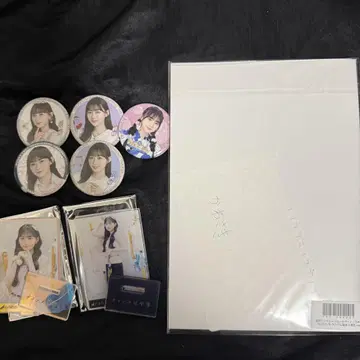 가와사키 벚꽃 세트