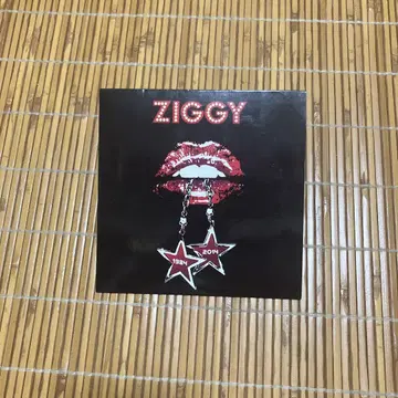 ZIGGY 2014년 기념반 CD