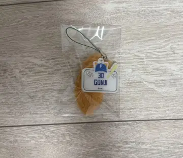 파이터즈 스트랩