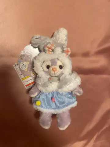 [택 포함] 윈터 홀리데이 2019 스텔라루