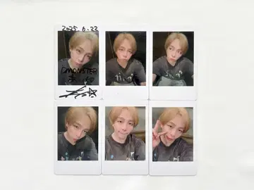 DMONSTER D몬 폴라로이드 하피카 MeseMoa. 아오이