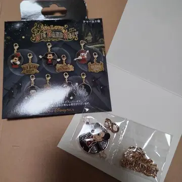 BBB 빅뱅 빅밴드 비트 미키마우스 시크릿 참