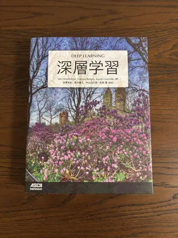 심층 학습 마츠오 유타카 감역