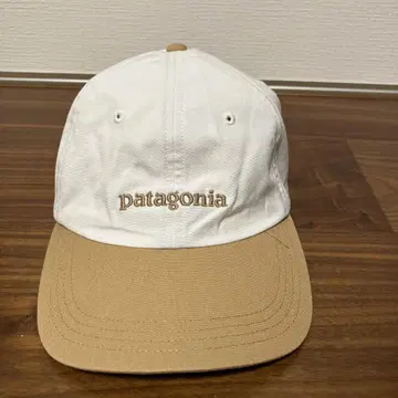 patagonia 캡