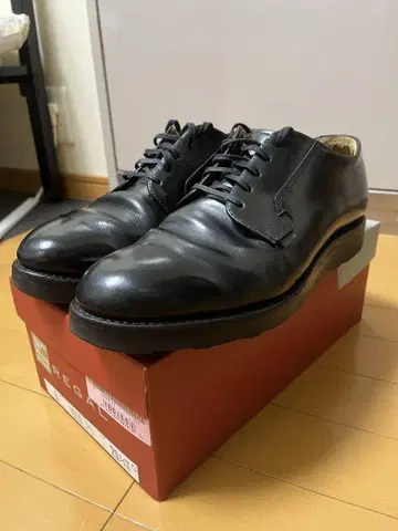 redwing 포스트맨 신발 9D