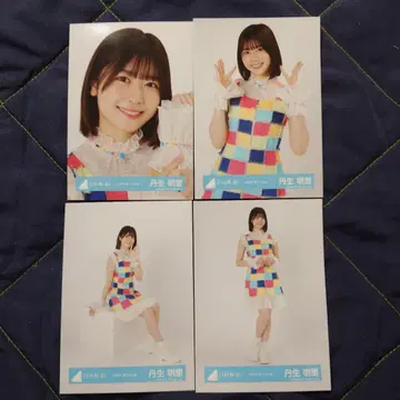 히나타자카46 니부 아카리 2024년 여름 페스티벌 의상 4종 컴프