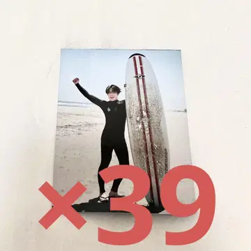미야타테 료타 골판지